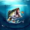 海狮视频播放器 